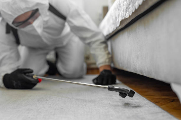 Professional Termite Control technician working in Seminole, TX