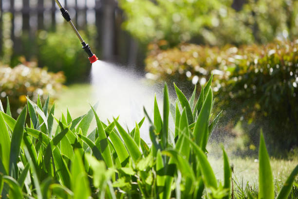 24/7 Emergency Termite Control experts in Seminole, TX