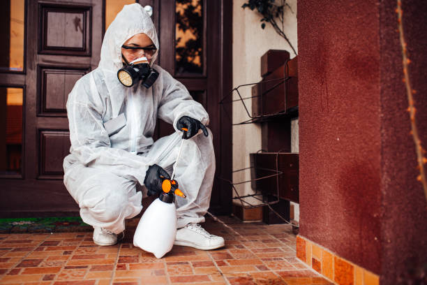 Reliable Termite Control contractor in Seminole, TX by Nex Pest Control